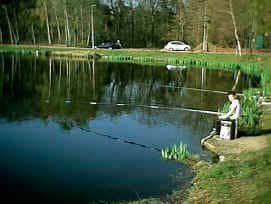visplek