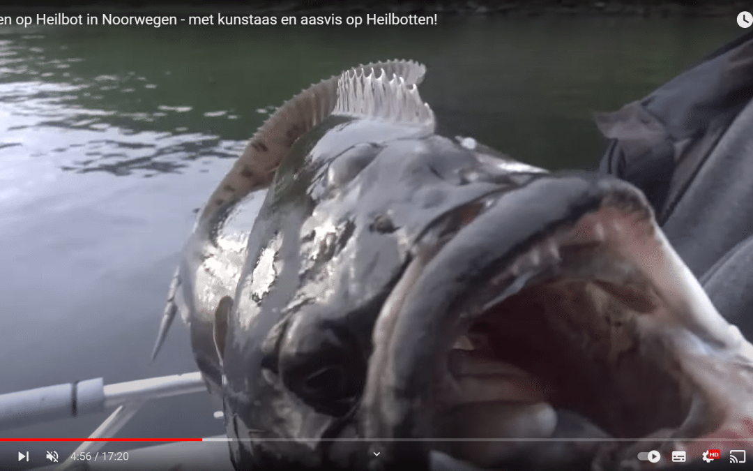 Vissen op Heilbot in Noorwegen